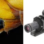 Cómo adaptar los lentes industriales para la fotografía macro extrema