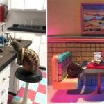 El dúo artístico crea intrincados mundos en miniatura para fotos de caracoles creativos