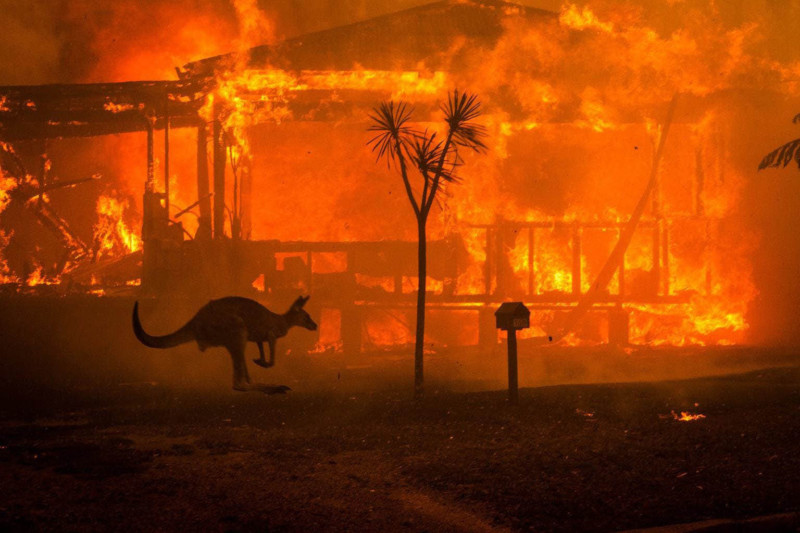 Esta es la imagen más icónica de los incendios forestales australianos