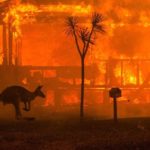 Esta es la imagen más icónica de los incendios forestales australianos
